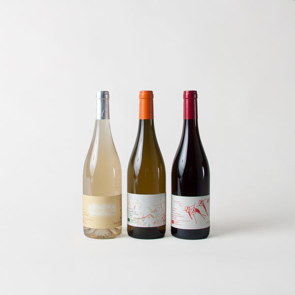 TRICOT PACK - Discovery of Auvergne wines