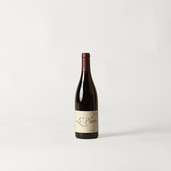 2022 - CLAIRE NAUDIN - Bourgogne rouge "La Plante", Burgundy
